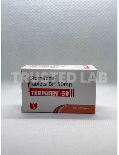 Buy Terpafen by Shree Venkatesh, 50 mg/100 tablets, €80.00