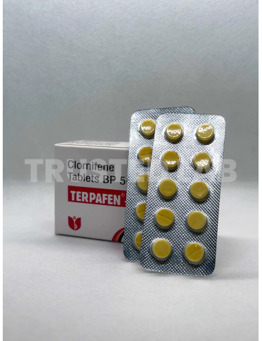 Buy Terpafen by Shree Venkatesh, 50 mg/100 tablets, €80.00